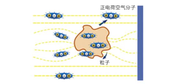 第三阶段净化