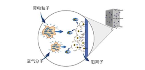 第四阶段净化